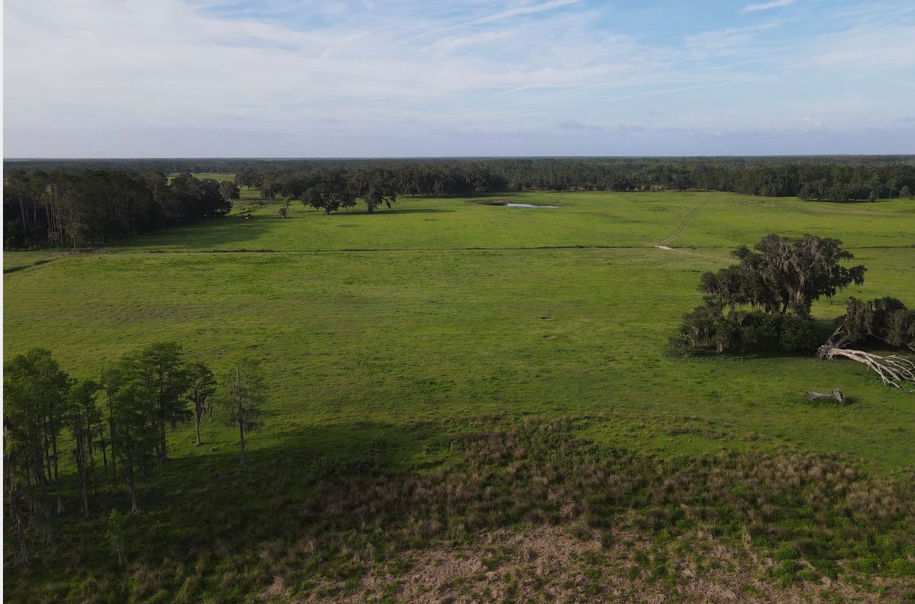 Cypress Pond Ranch