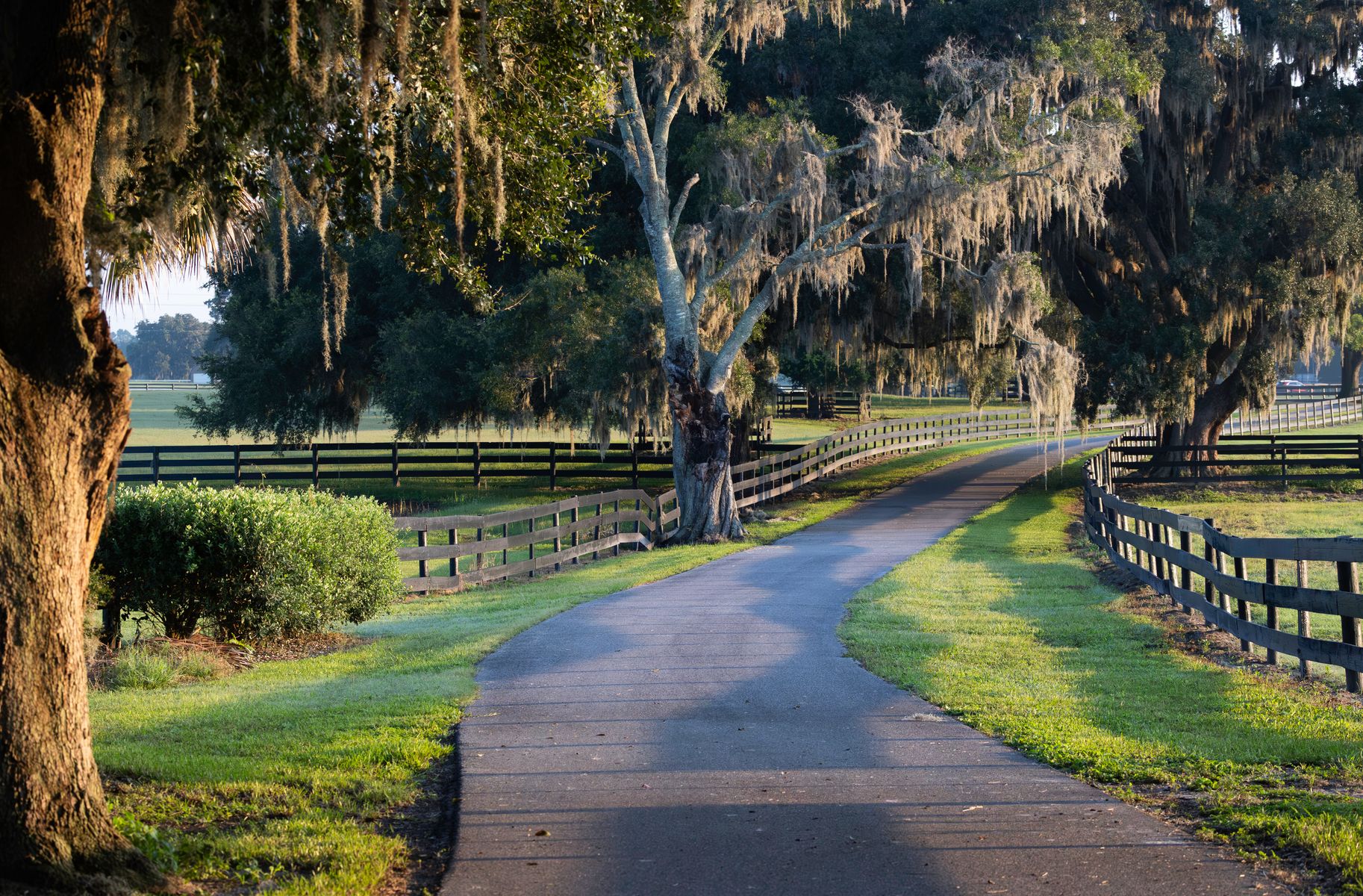 Derby Oaks Farm