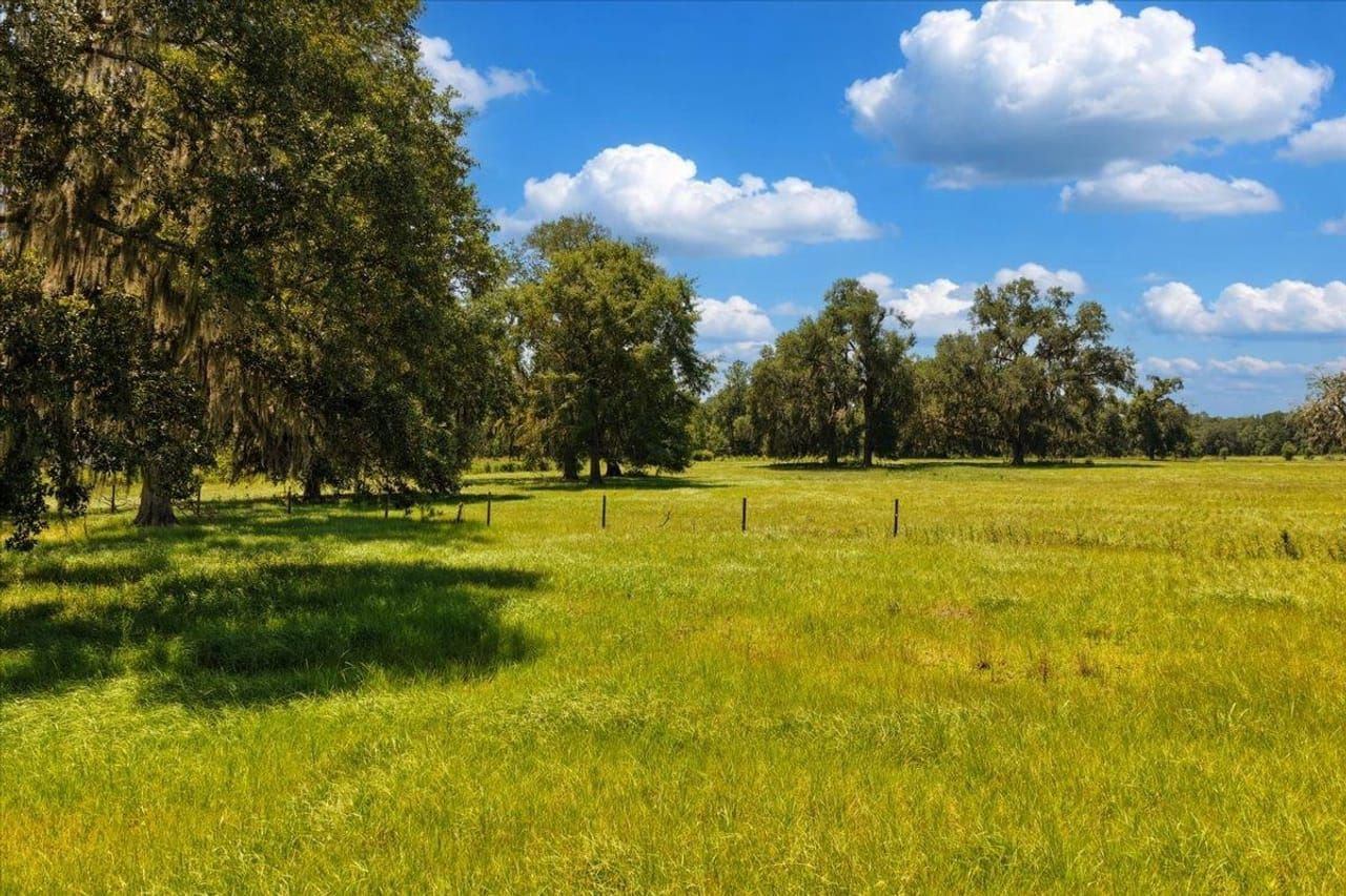 Red Hills Cattle Farm
