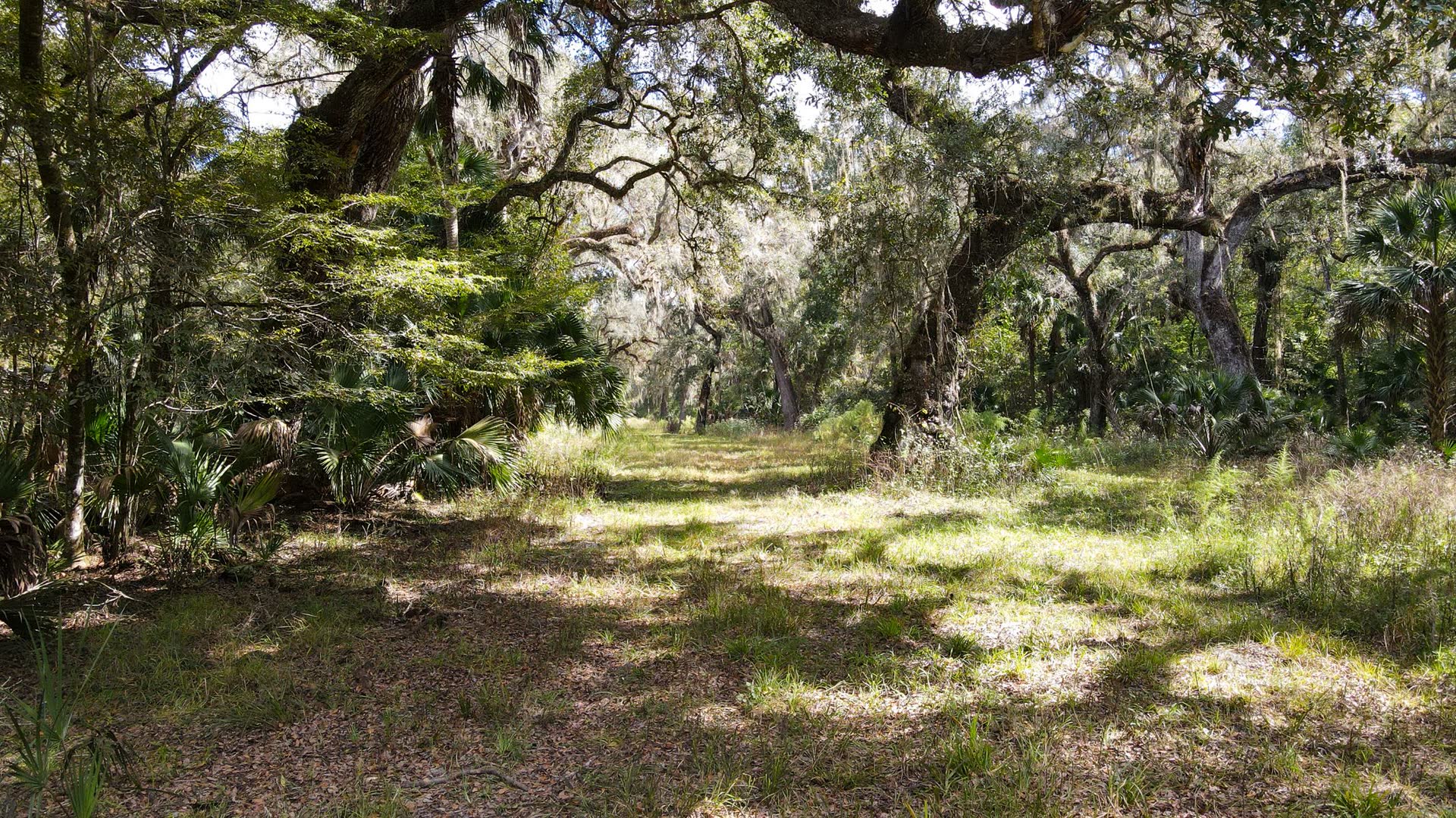 Sumter Prairie Ranch