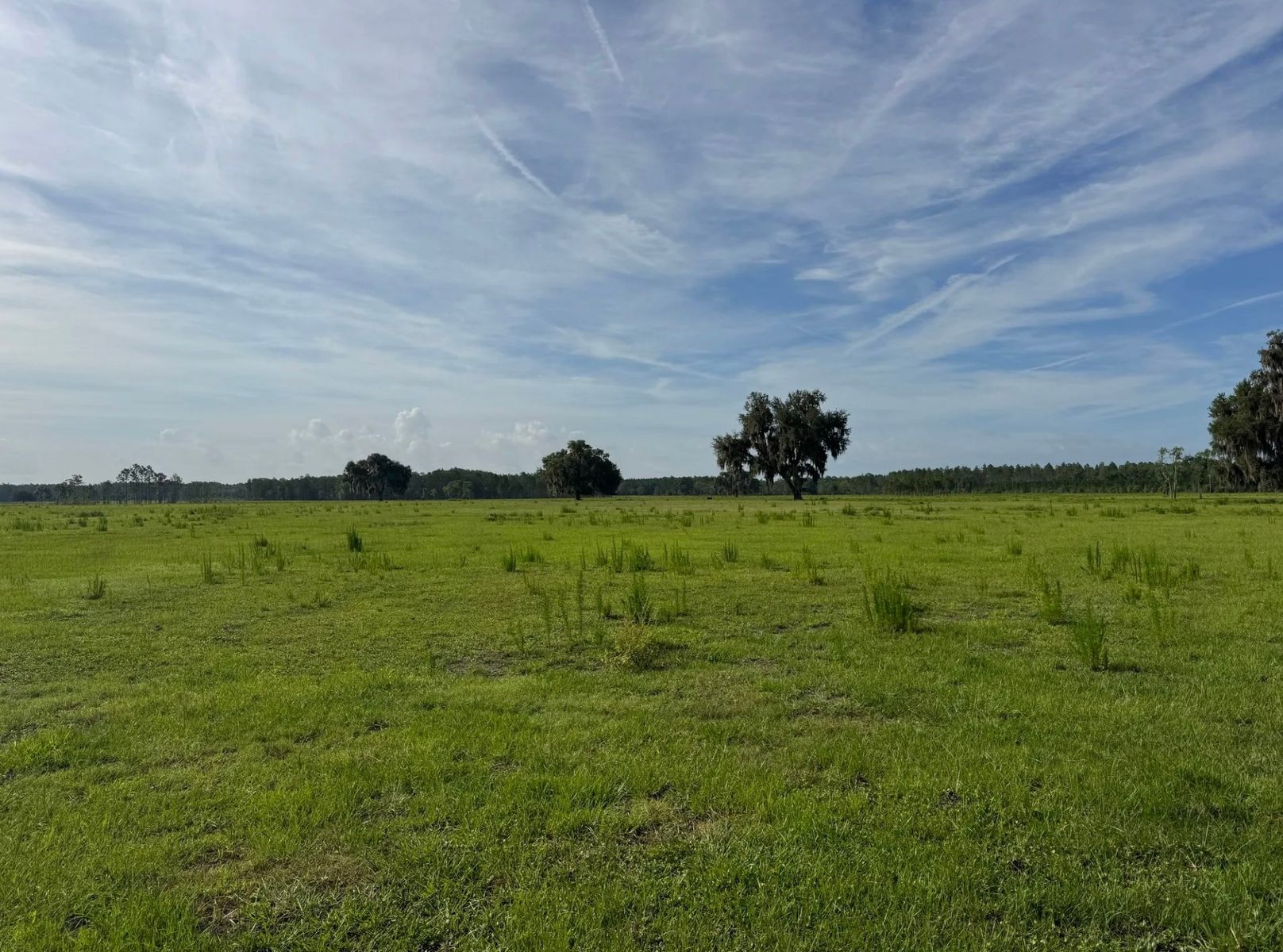 Cypress Pond Ranch — photo 5 of 5