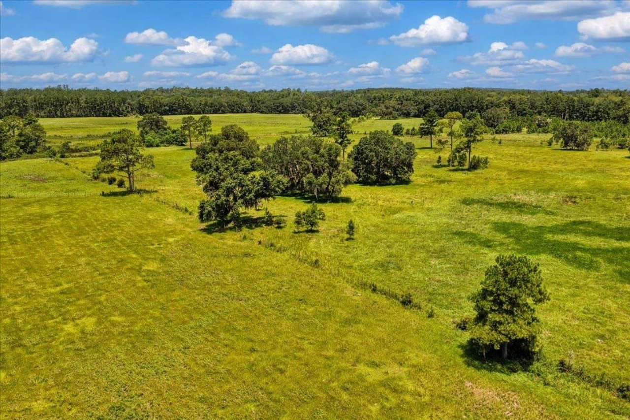 Red Hills Cattle Farm — photo 4 of 5