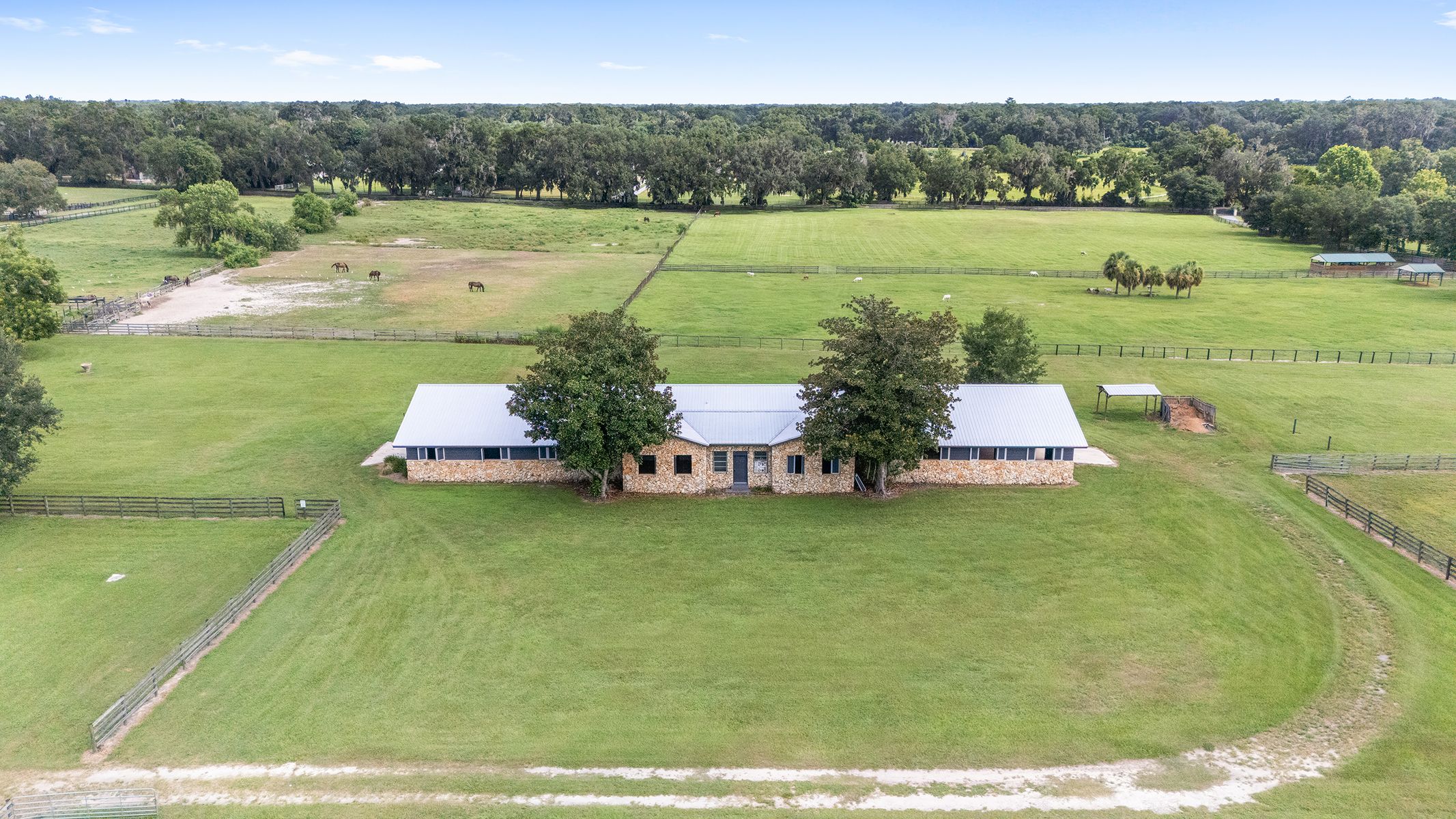 North Ocala Horse Farm — photo 2 of 5