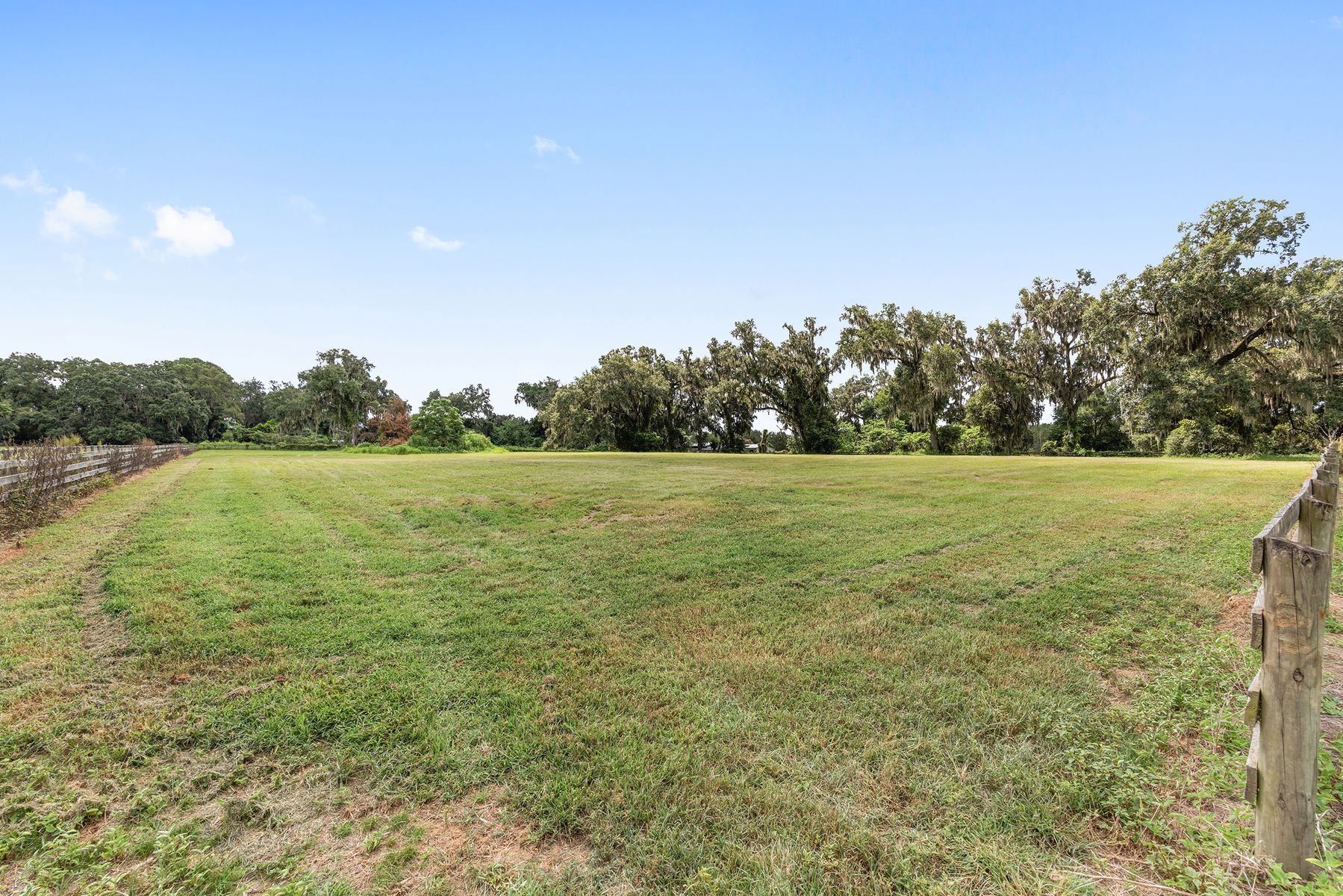 North Ocala Horse Farm — photo 5 of 5