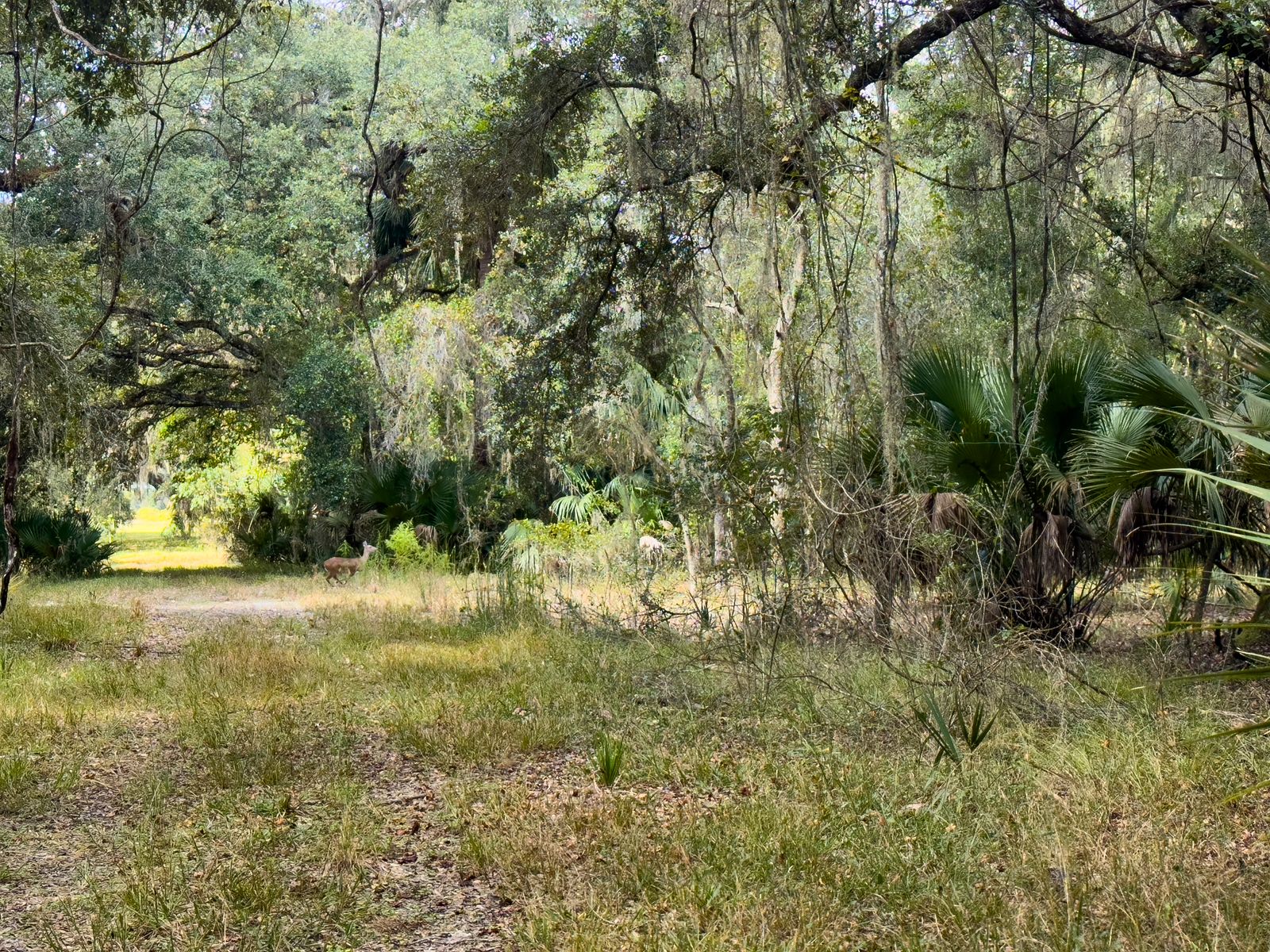 Sumter Prairie Ranch — photo 4 of 4